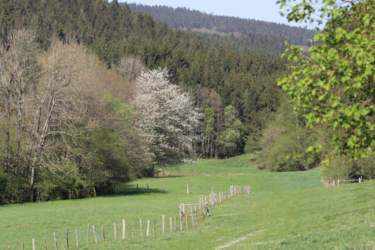Le Clos Du Cerf - Silence & Nature 斯图蒙 外观 照片